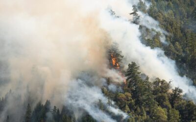 Monitoring and Mapping Bushfires