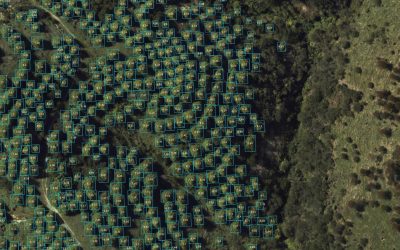 Tree Seedling Detection Using AI